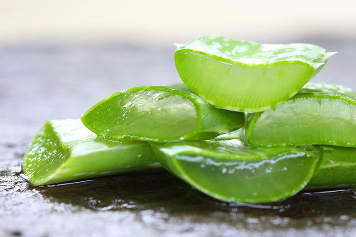 How to Make Your Own Aloe Vera Gel and 8 Ways to Use It — All Posts Healing Harvest Homestead